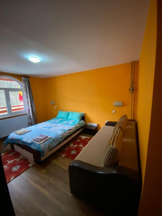 Casă la țară Casa Cristalina&dumi Albac