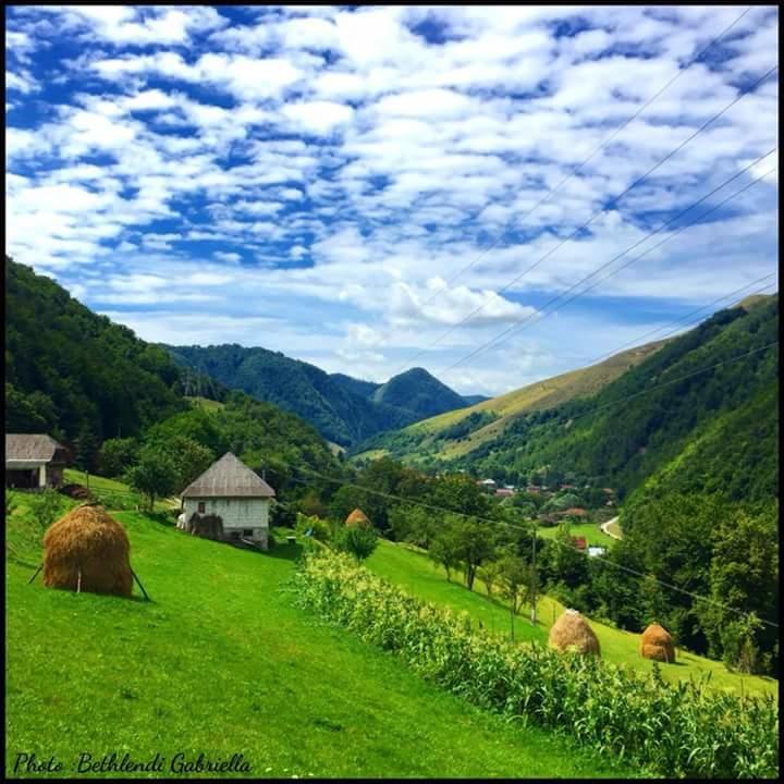 Casă la țară Casa Cristalina&dumi Albac